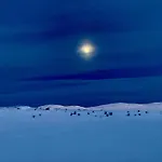 بيت للعطل Mountain With Magical Views At Dagalifjell