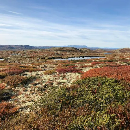 Mountain With Magical Views At Dagalifjell 別荘
