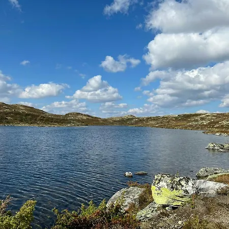 Mountain With Magical Views At Dagalifjell 別荘
