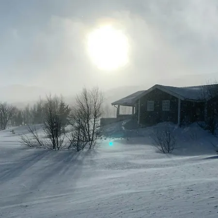 Mountain With Magical Views At Dagalifjell 度假居 *