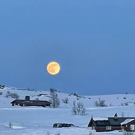 度假居 Mountain With Magical Views At Dagalifjell Uvdal