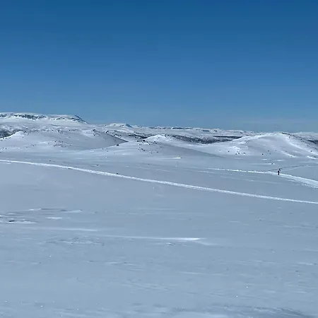 Mountain With Magical Views At Dagalifjell 度假居