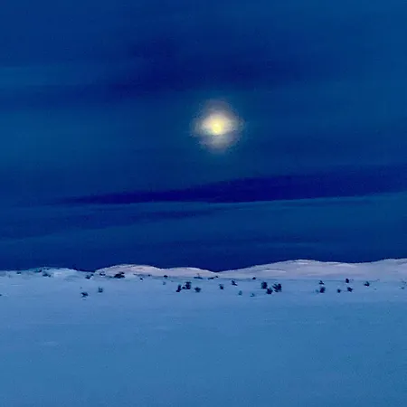 度假居 Mountain With Magical Views At Dagalifjell